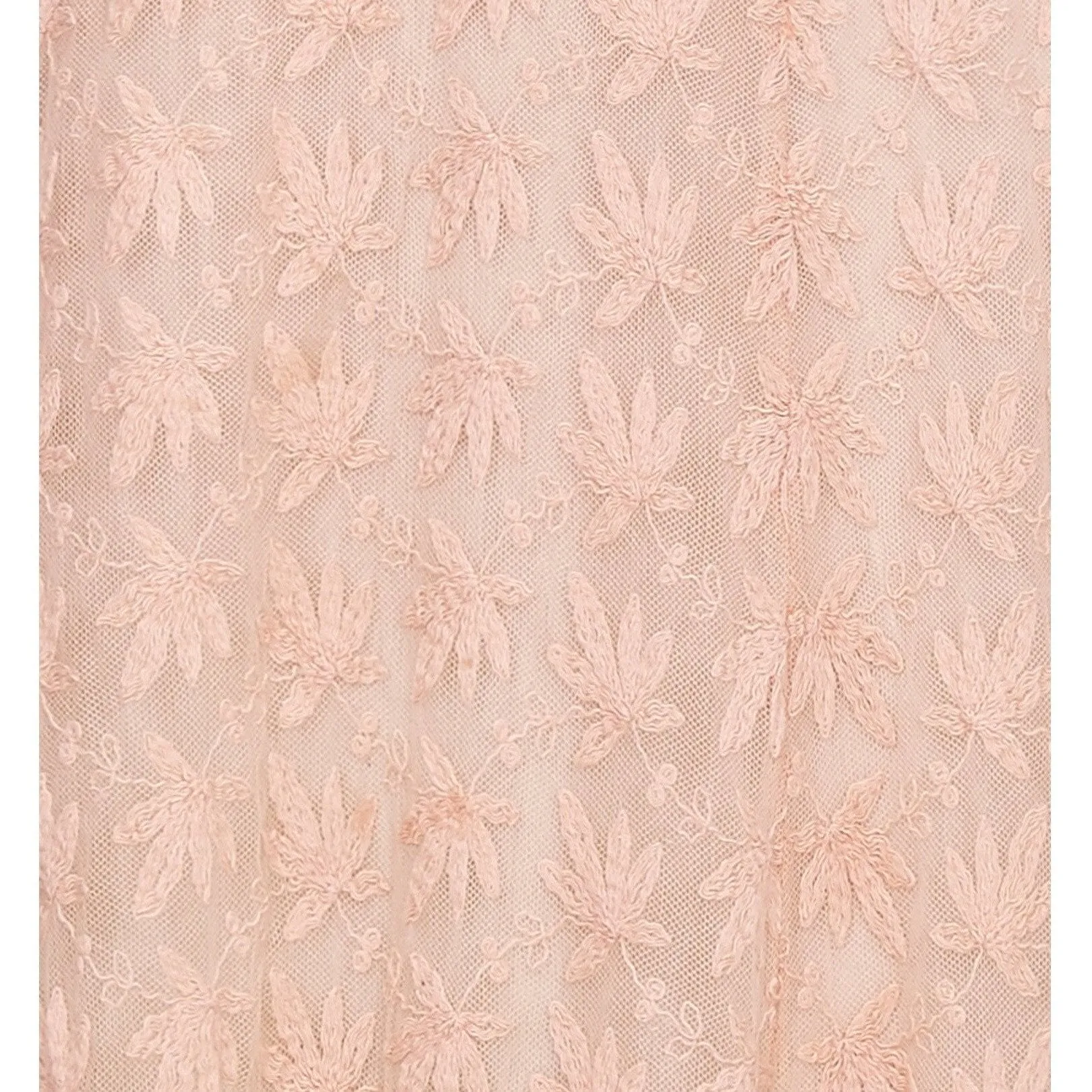 1930s Sheer Pale Pink Embroidered Lace Tea Dress Gown