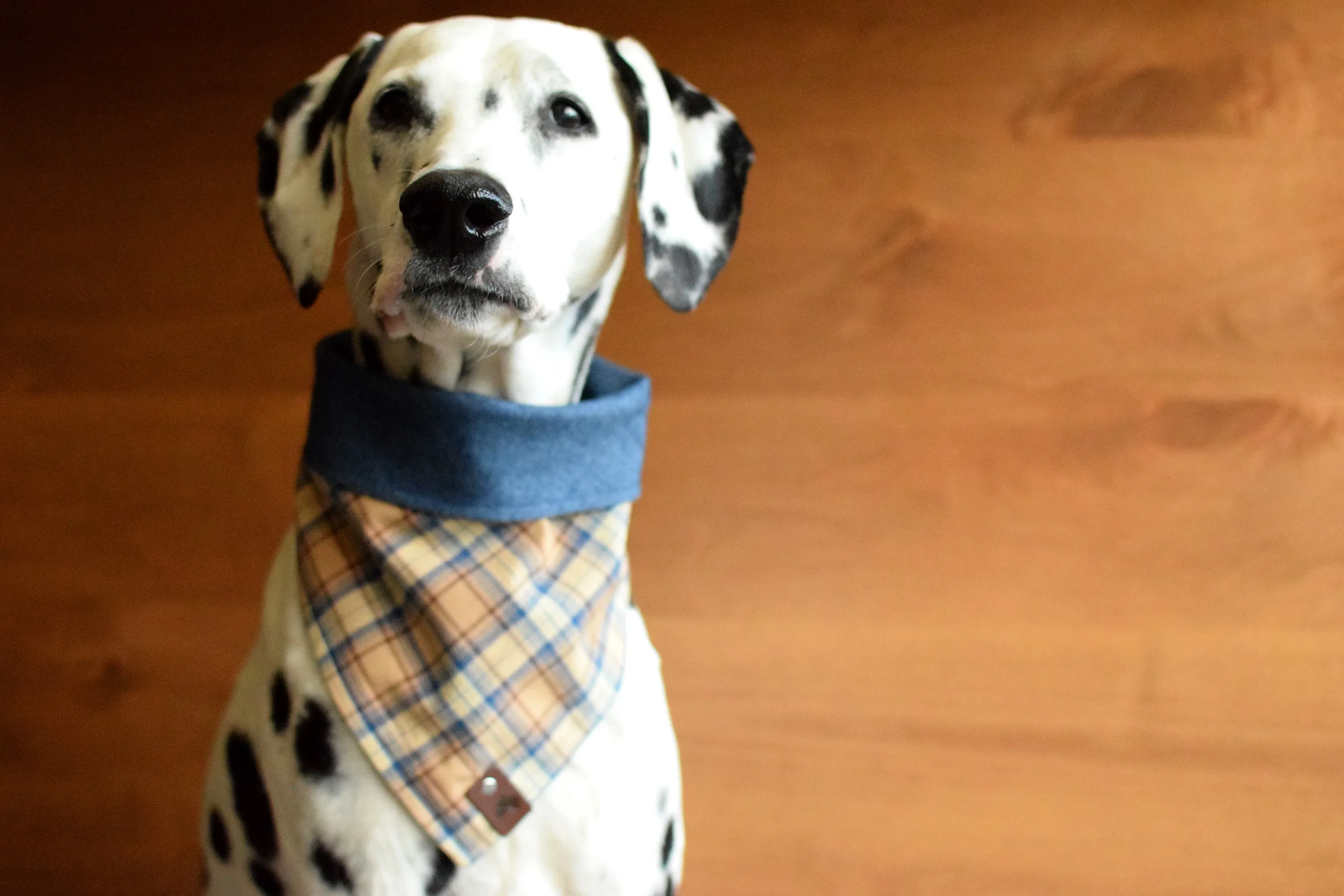 CABALLO Reversible Cotton Dog Bandana - Snap/Tie On Cotton Scarf
