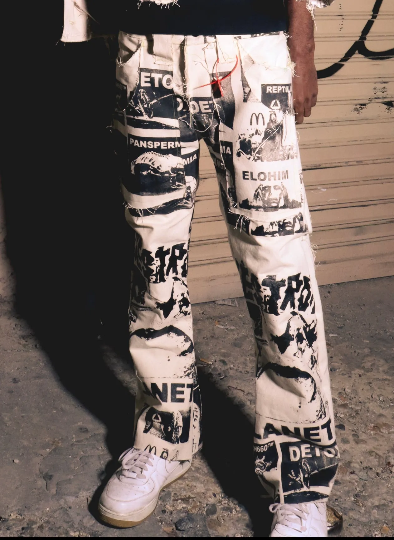 Destroy Planet X Canvas pants