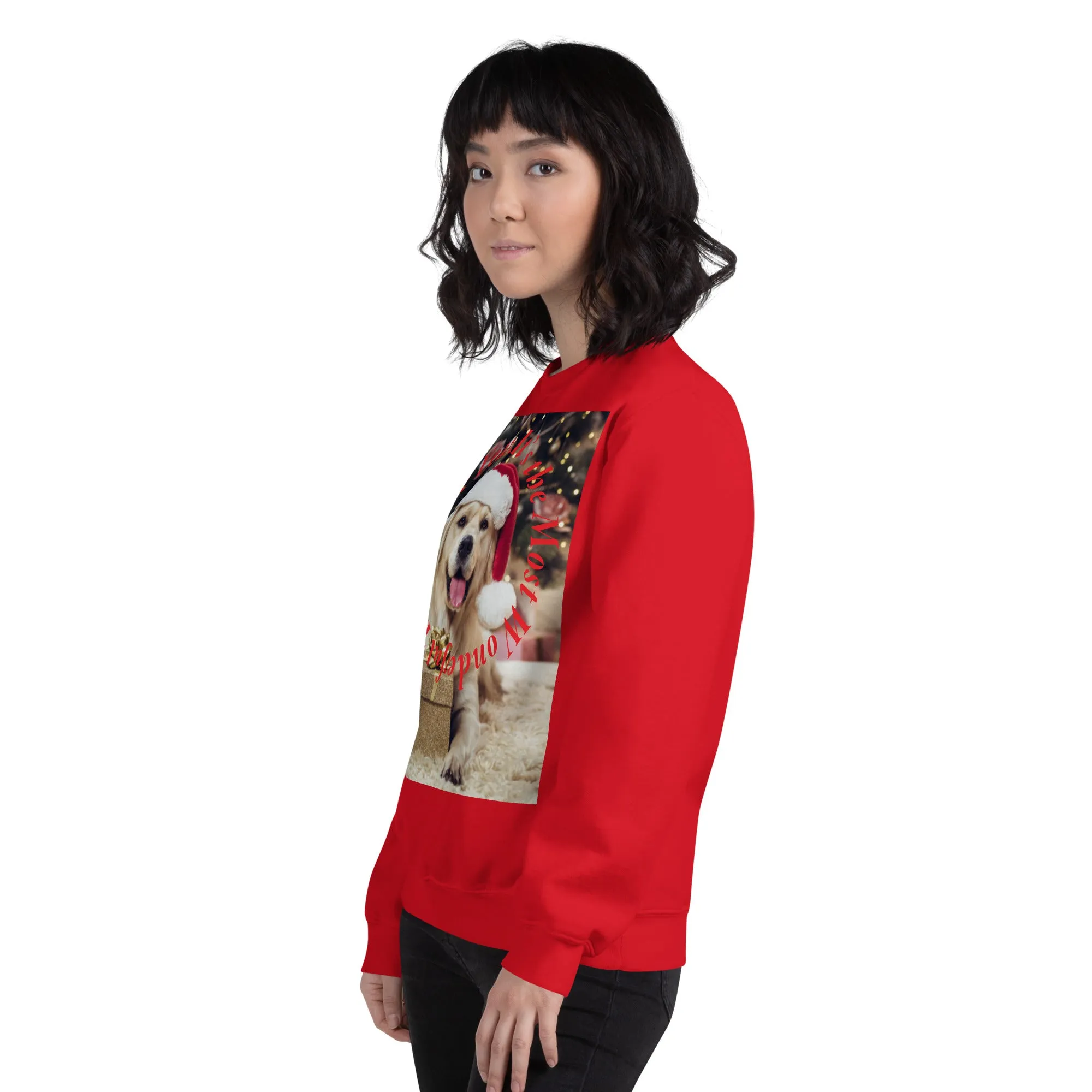 It's The Most Wonderful Time of The Year Christmas Sweatshirt (Glamourange Christmas Sweatshirt Womens)