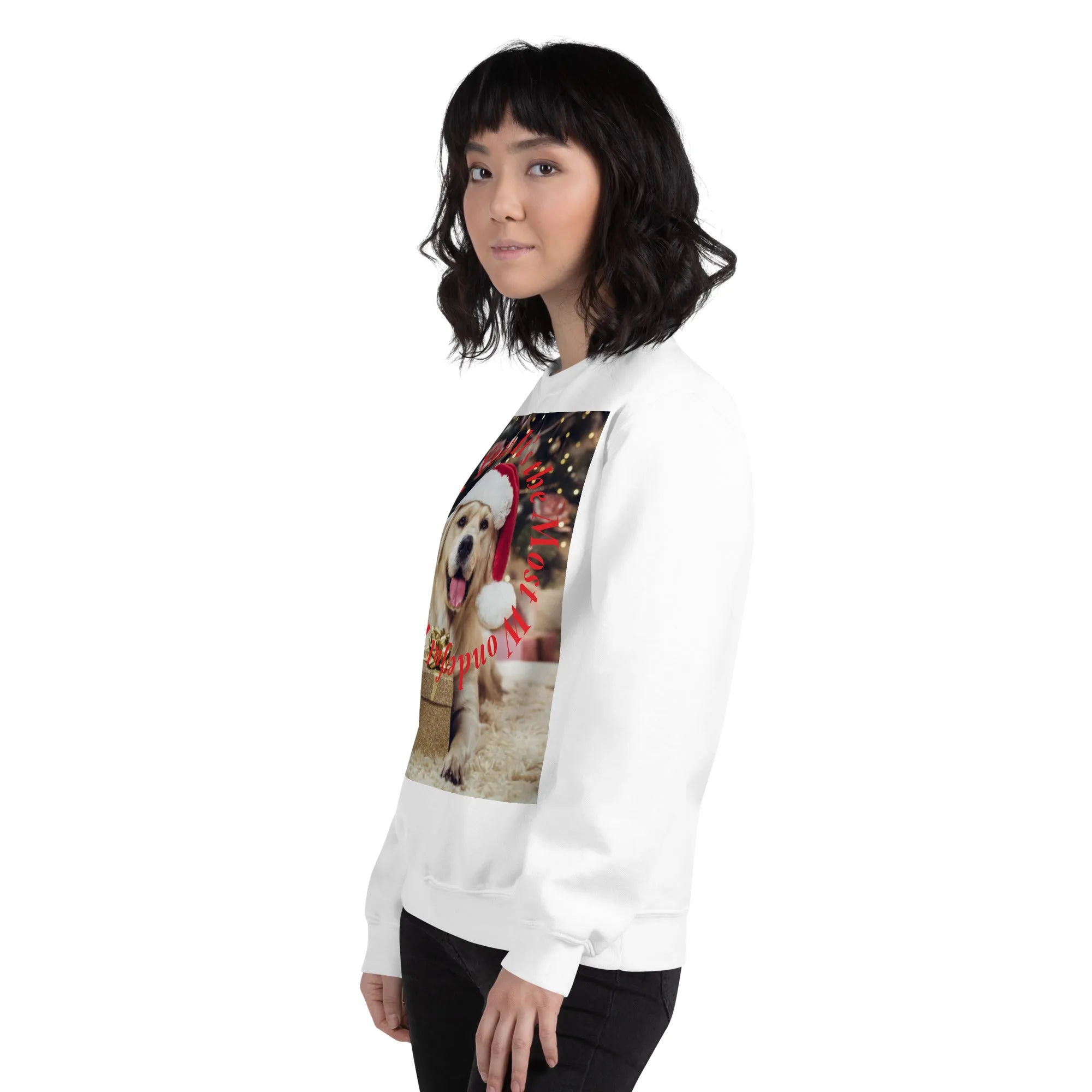 It's The Most Wonderful Time of The Year Christmas Sweatshirt (Glamourange Christmas Sweatshirt Womens)