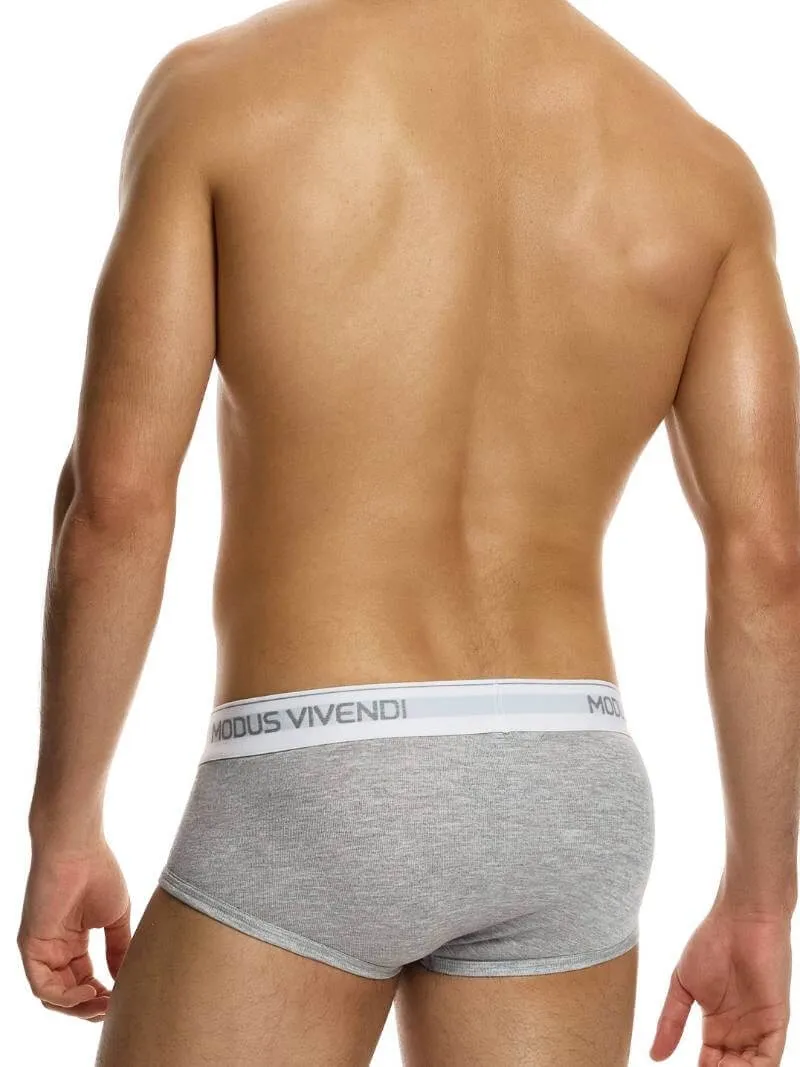 MODUS VIVENDI Staple Eco-Cotton Fly Brief