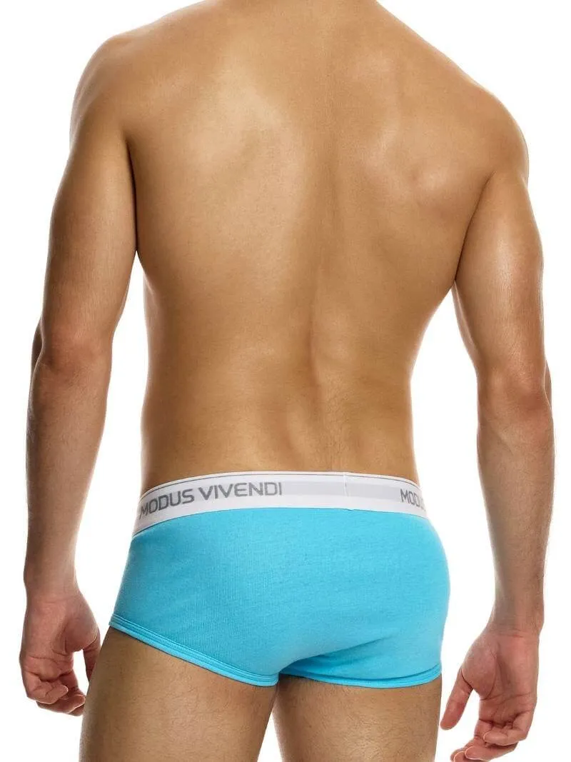 MODUS VIVENDI Staple Eco-Cotton Fly Brief