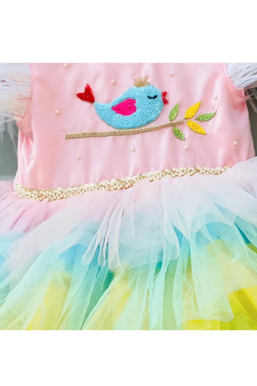 Multi color hand embellished flamingo theme dress