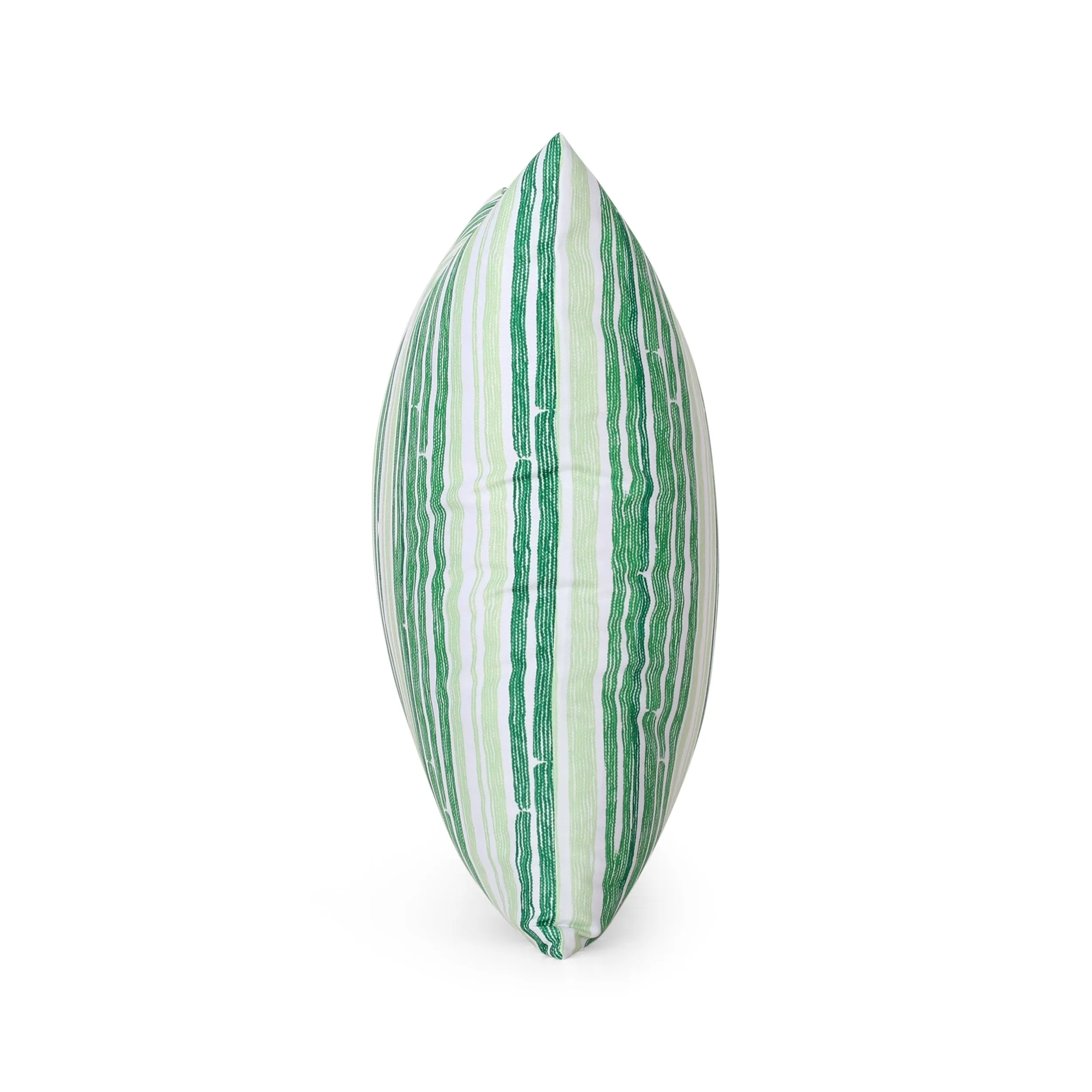 Nayah Modern Indoor Throw Pillow