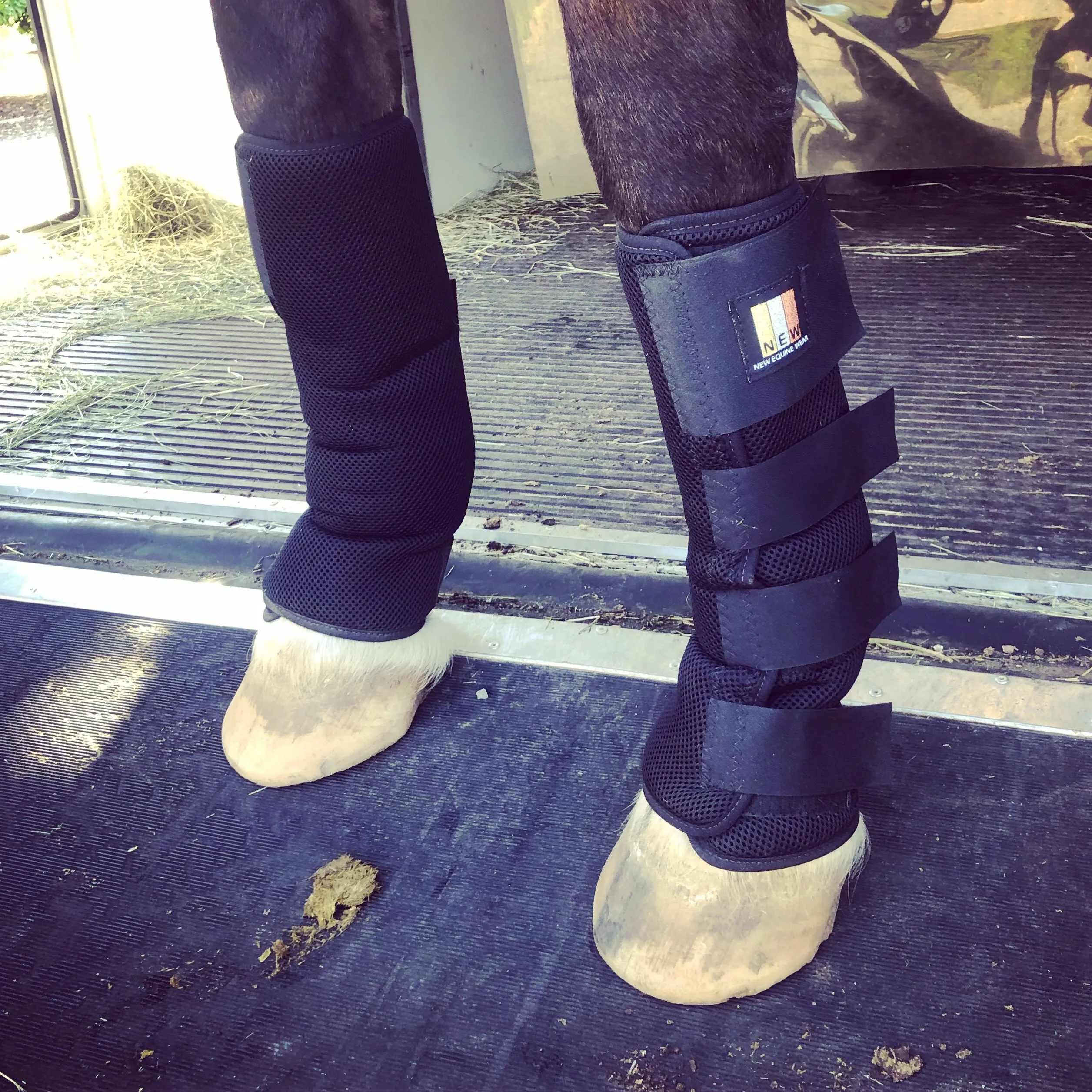 New Equine Wear (NEW) Vent-Tex Leg Wraps