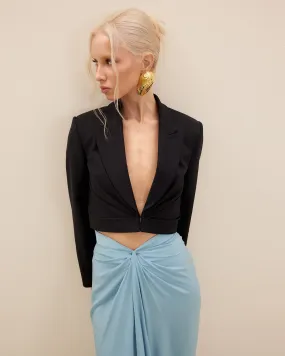 Papilio Blazer
