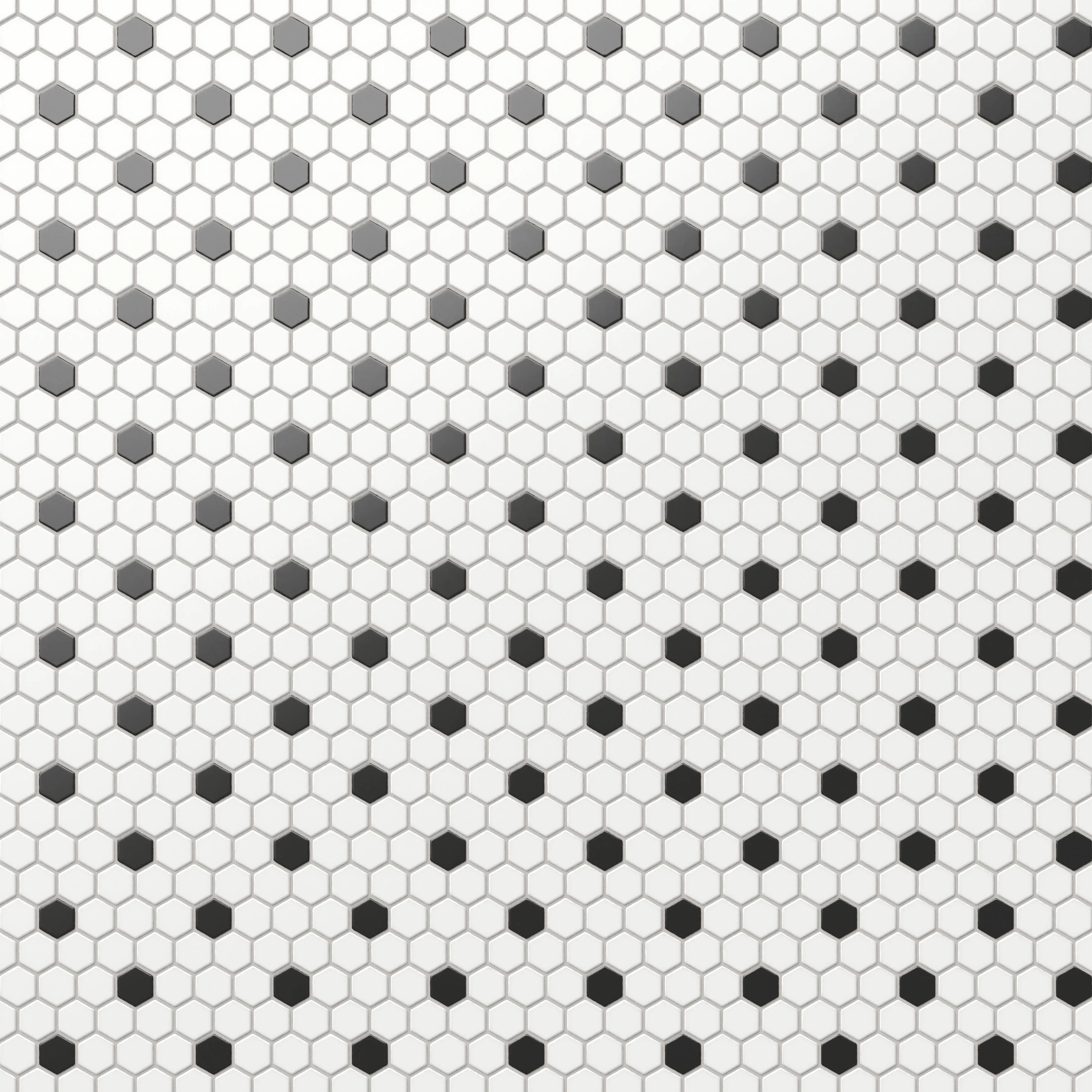 Quinn 12x12 Matte Porcelain 1x1 Hexagon Mosaic Tile in Black & White